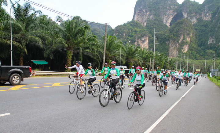 iAMCAR_Toyota Green City5